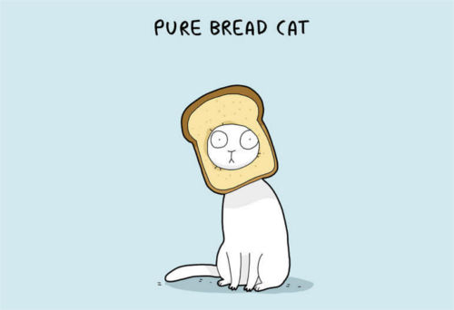 [Top 30] Really Funny Cat Puns for Every Occasion