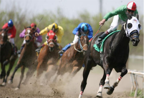 [Top 50] Horse Racing Pick Up Lines For Polo Lovers!