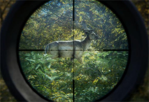 [Top 50] Hunter Hunting Pick Up Lines