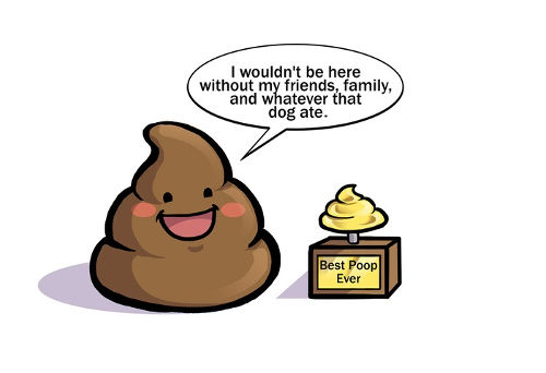[Top 50] Shitty Poop Puns and Jokes That Will Make You Puke!