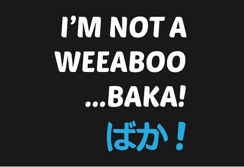 [Top 50] Weeaboo Pick Up Lines