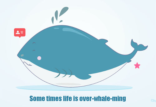 [Top 50] Whale Puns That Will Blow You Away