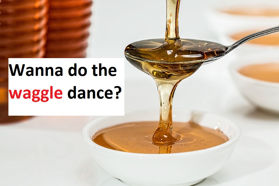 [Top 80+] Honey Bee Pick Up Lines That Are Un-BEE-lievably BEE-utiful! 5