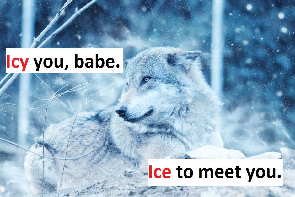 [Top 75] Polar Vortex Pick Up Lines 3