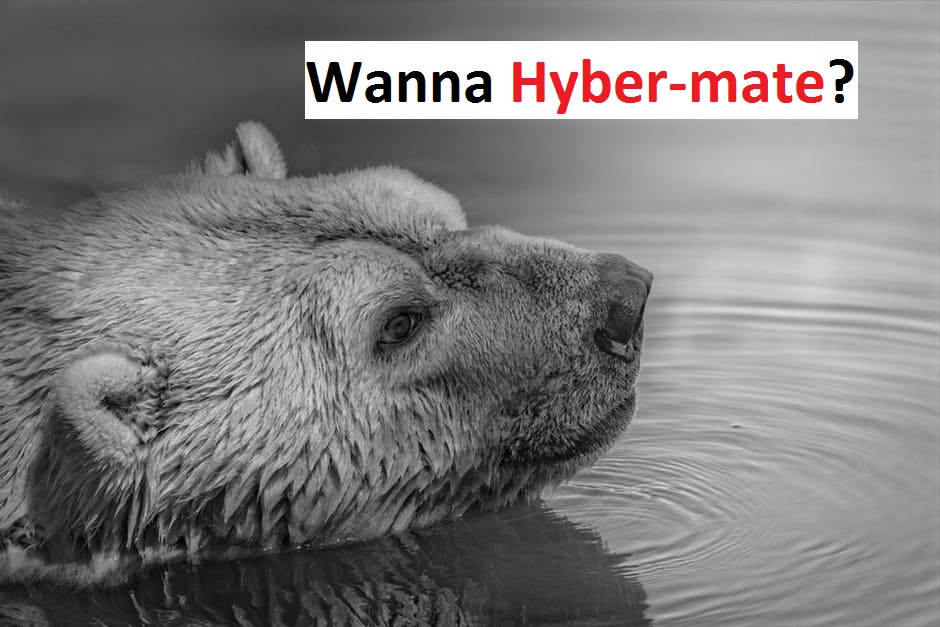 [Top 75] Polar Vortex Pick Up Lines 4