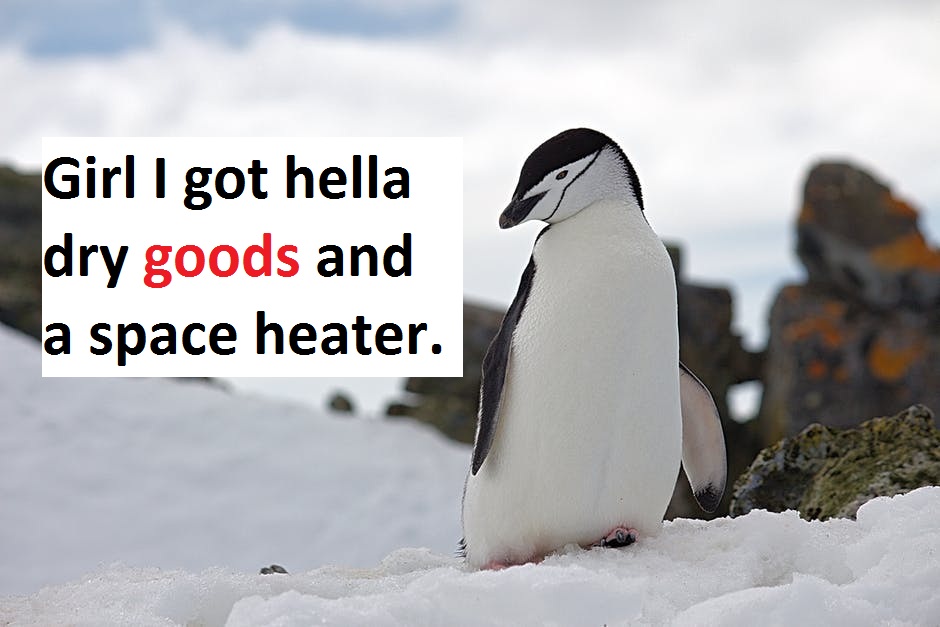[Top 75] Polar Vortex Pick Up Lines 6