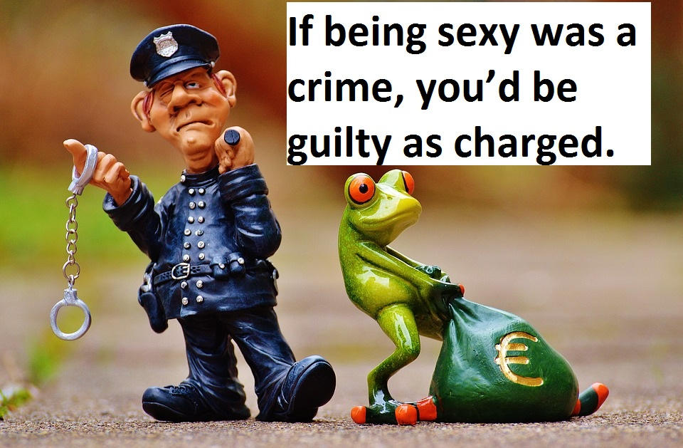 Police Cop Pick Up Lines