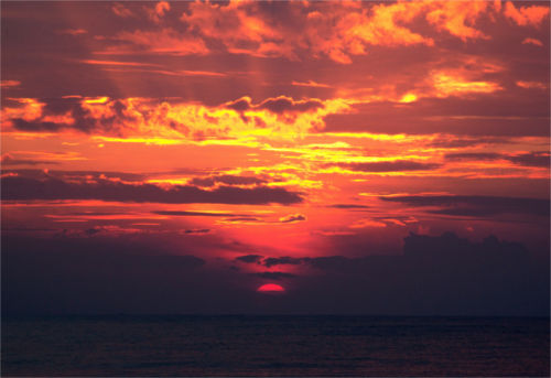 [Top 100] Sunny Pick Up Lines To Use at Sunset !