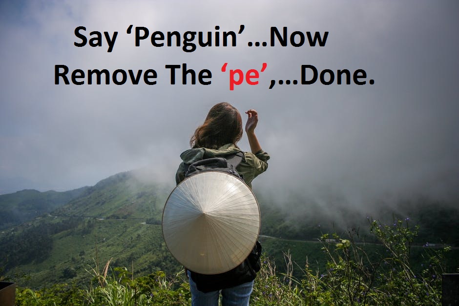 Cheesy Dirty Vietnam Pick Up Lines