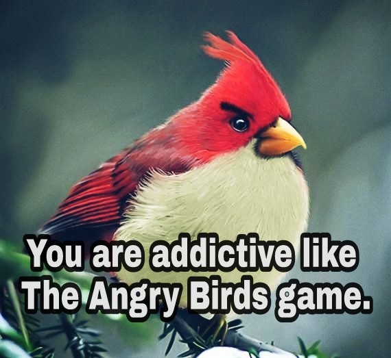 [Top 50] Parrot,Owl,Duck,Penguin Birds Pick Up Lines 3