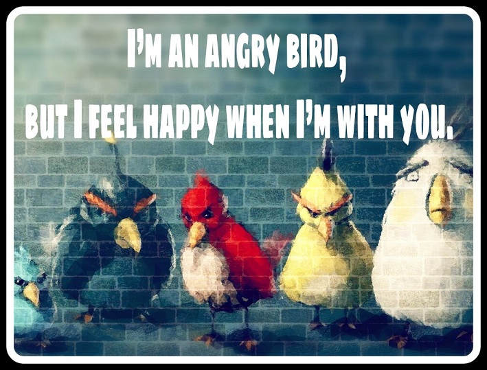 [Top 50] Parrot,Owl,Duck,Penguin Birds Pick Up Lines 2