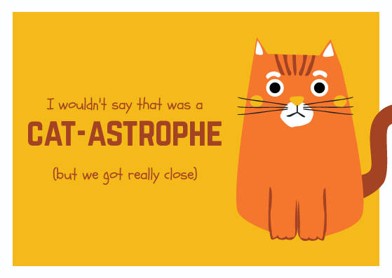 [Top 30] Really Funny Cat Puns For Every Occasion 2