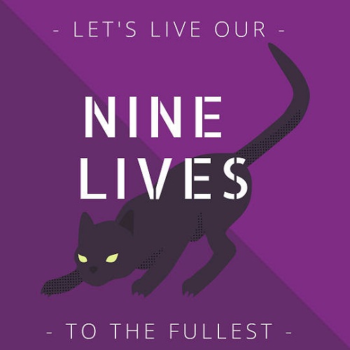 [Top 30] Really Funny Cat Puns For Every Occasion 11
