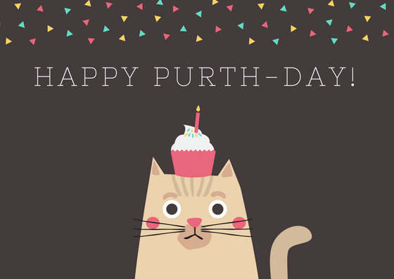 [Top 30] Really Funny Cat Puns For Every Occasion 4