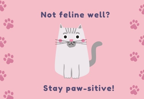 [Top 30] Really Funny Cat Puns For Every Occasion 6