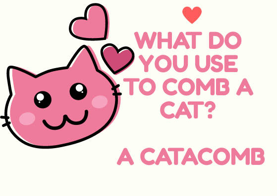 [Top 30] Really Funny Cat Puns For Every Occasion 7