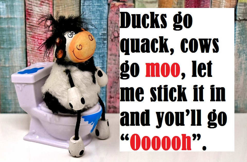 Cow Bull Milk Farm Related Pick Up Lines