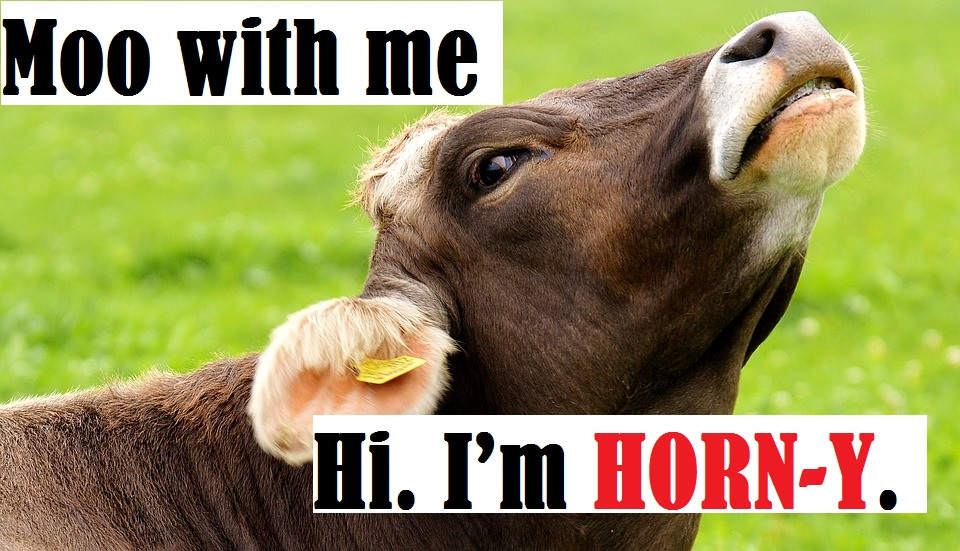 Cow Bull Milk Farm Related Pick Up Lines