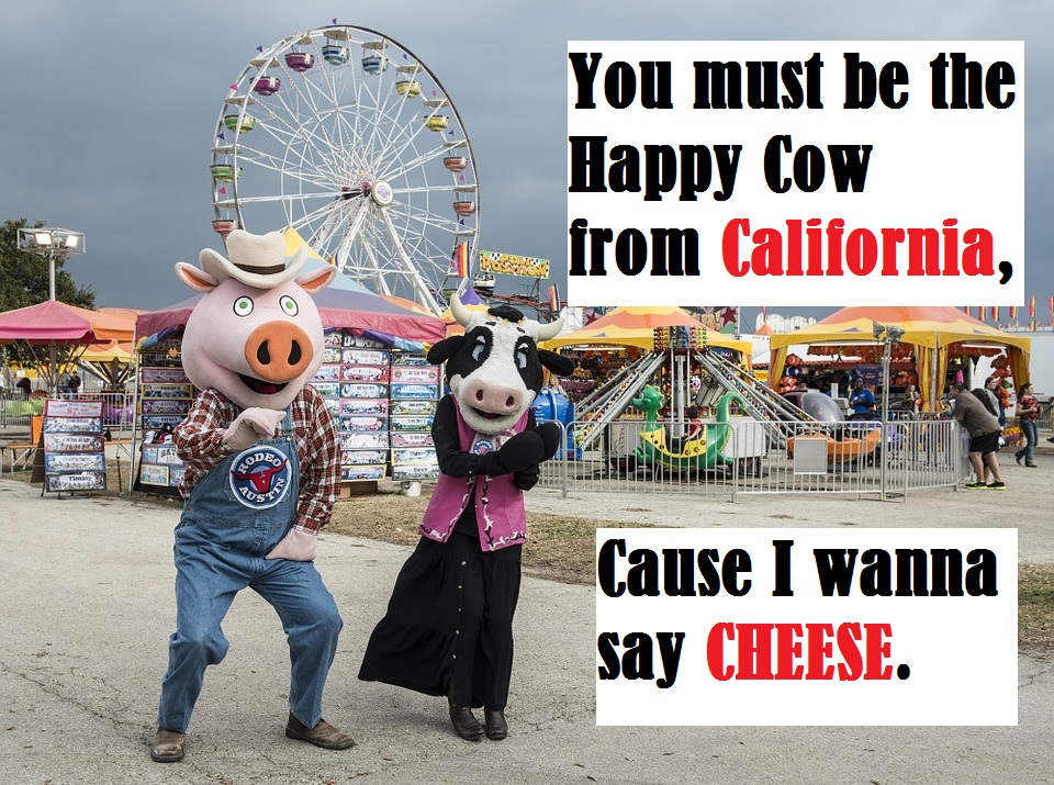 Cow Bull Milk Farm Related Pick Up Lines