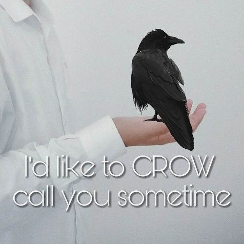 [Top 50] Parrot,Owl,Duck,Penguin Birds Pick Up Lines 4