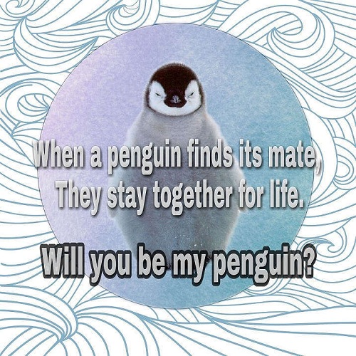 [Top 50] Parrot,Owl,Duck,Penguin Birds Pick Up Lines 6