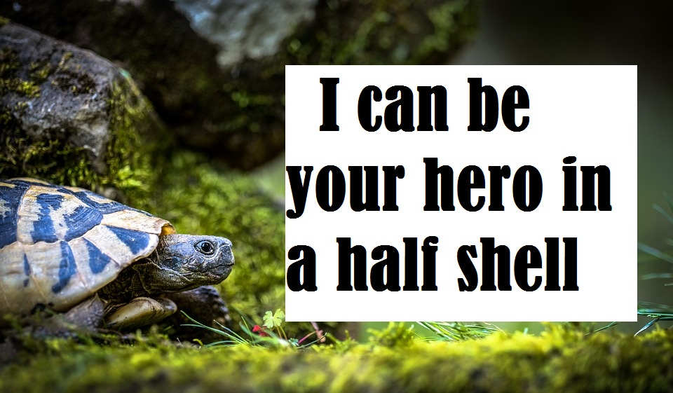 Turtle One Liners And Pick Up Lines