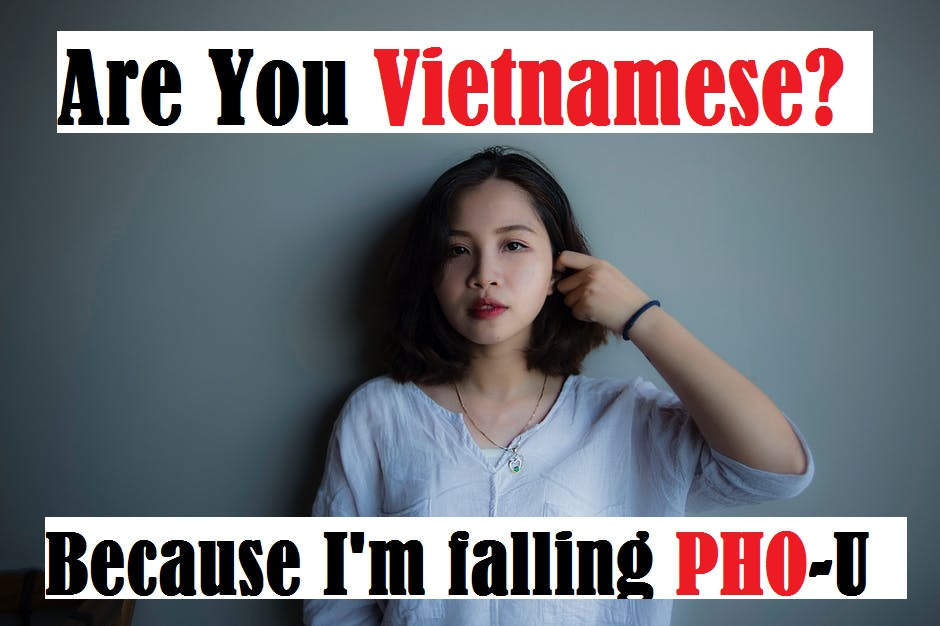 Cheesy Dirty Vietnam Pick Up Lines