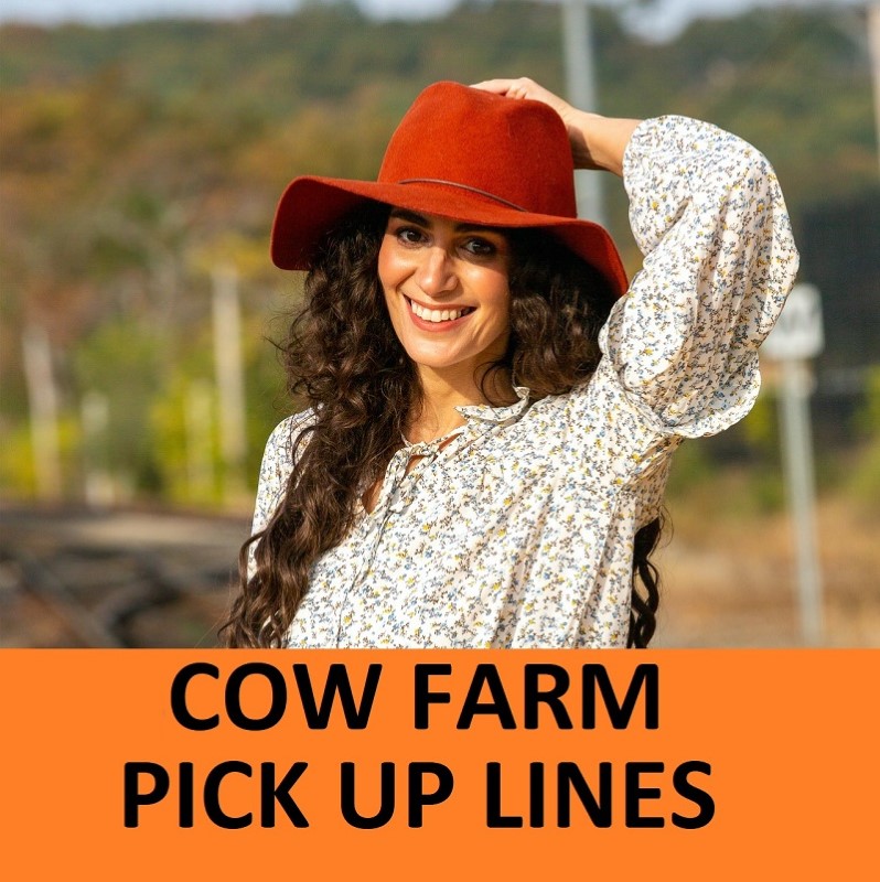 [Top 40+] Cow Pick Up Lines To Impress!